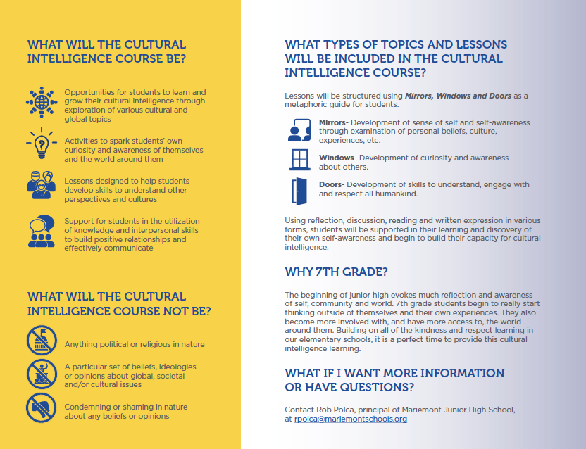 cultural intelligence course explanation