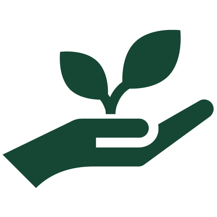 JIA HSP Logo: A hand with a seed growing out of the top.
