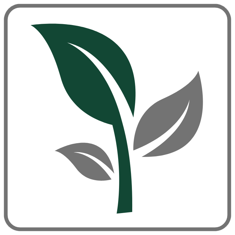 A seedling with one large green leaf and two gray smaller leaves.