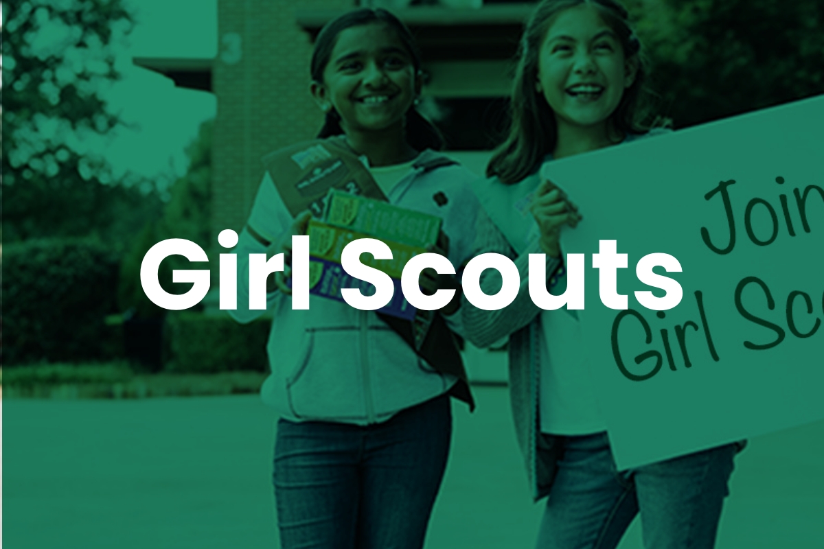 Button: Girl Scouts of Michigan Link