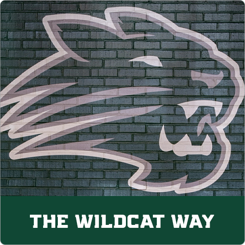 The Wildcat Way