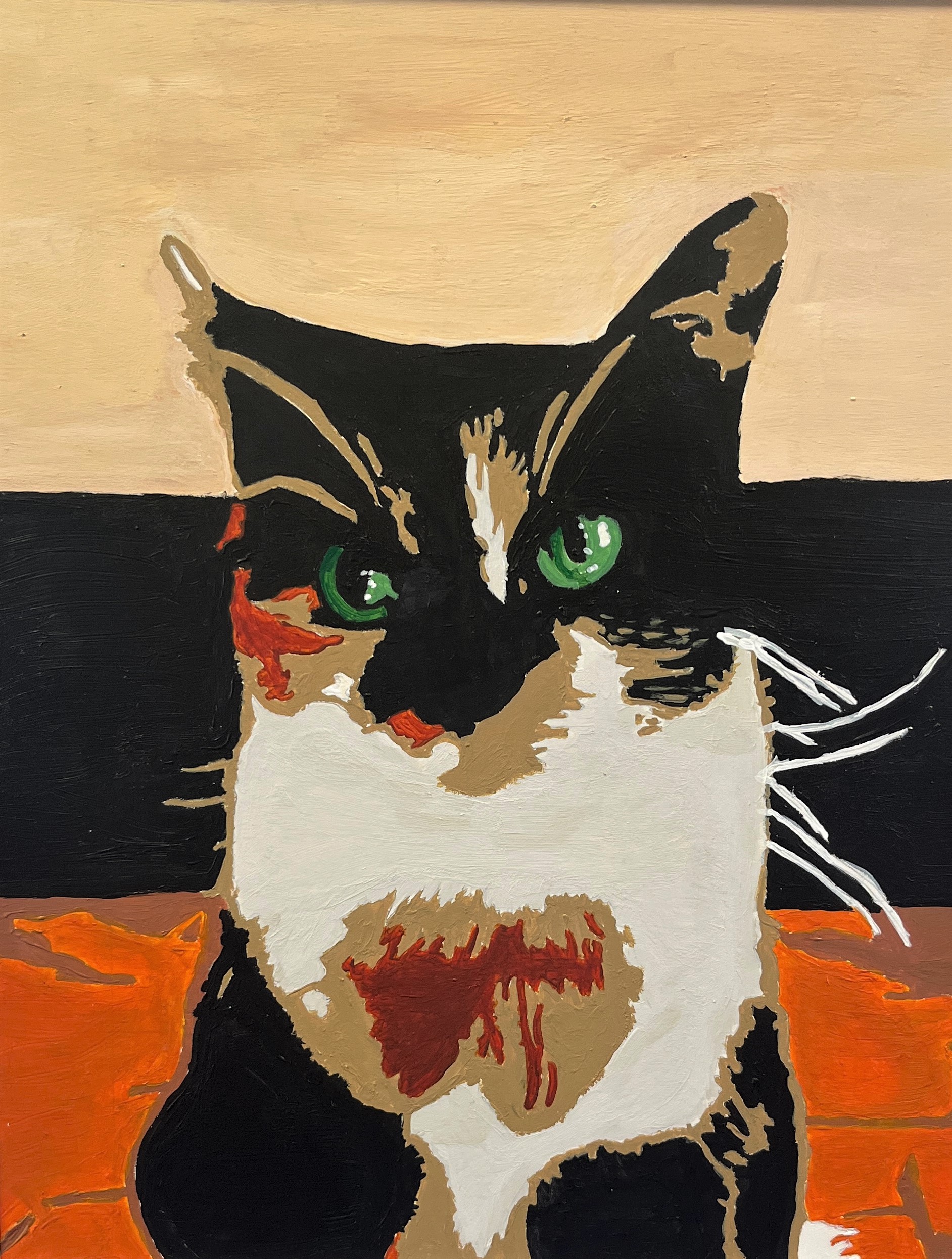 expressive cat