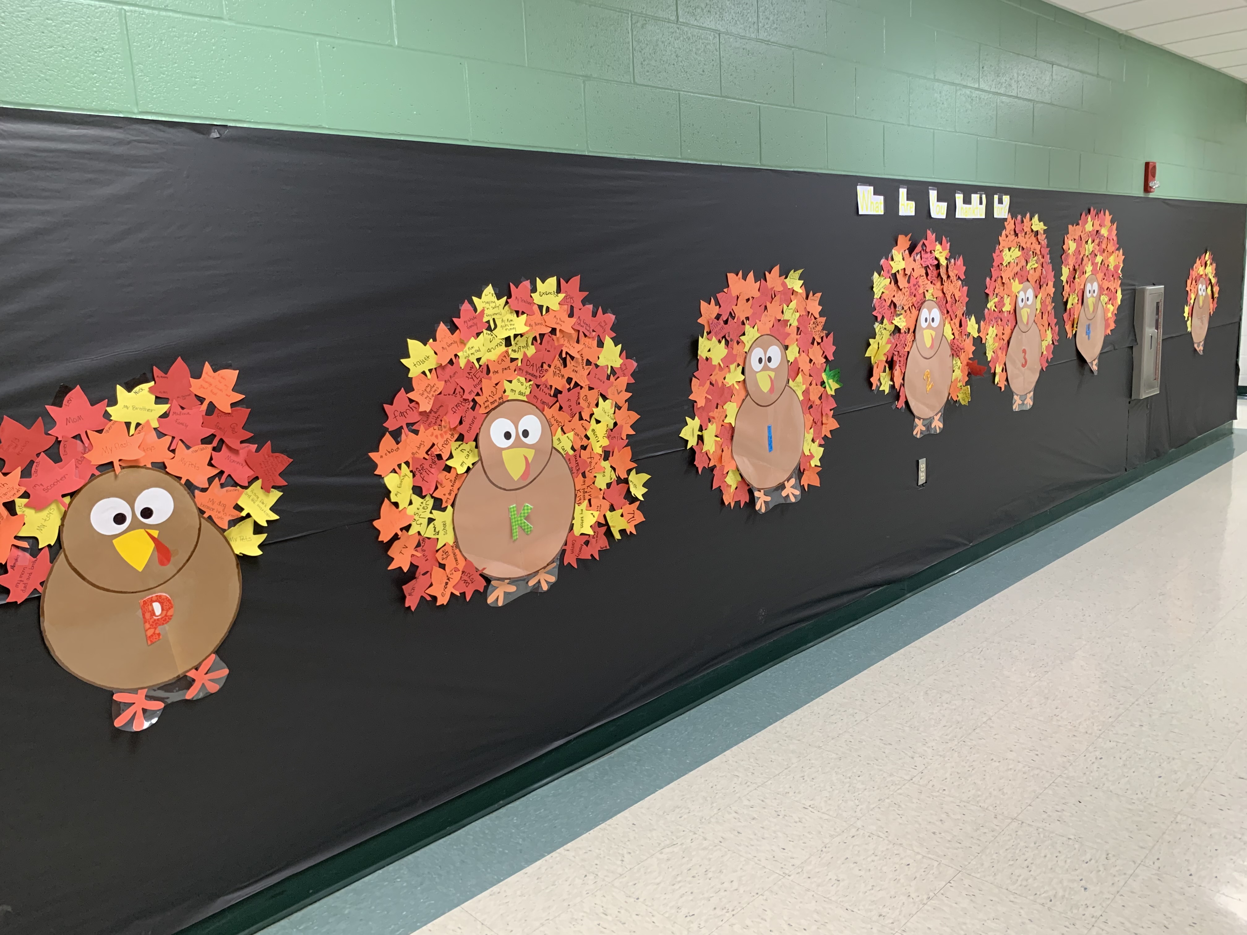 Hallway display of all the turkeys!