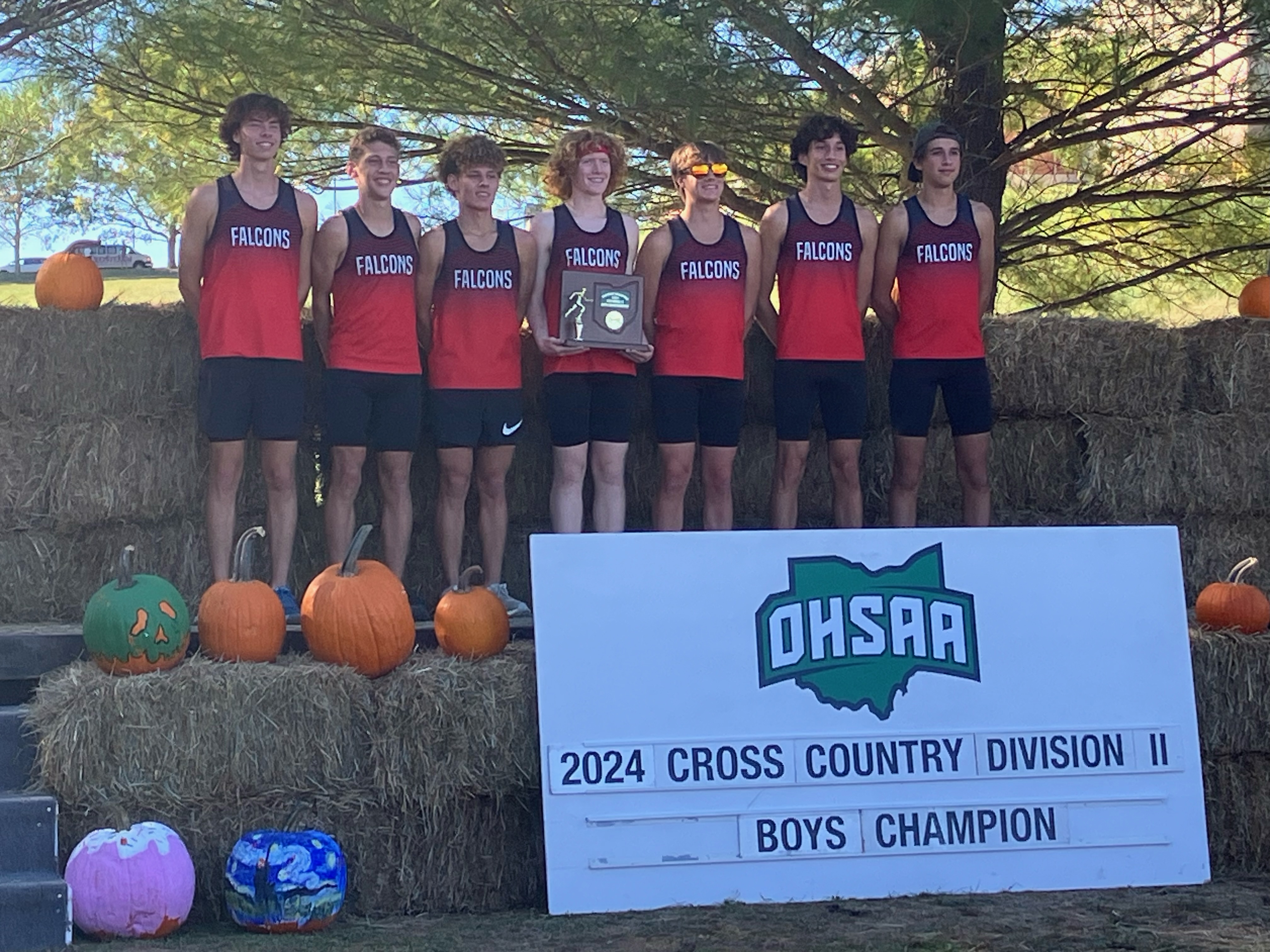 Boys CC District Champs!