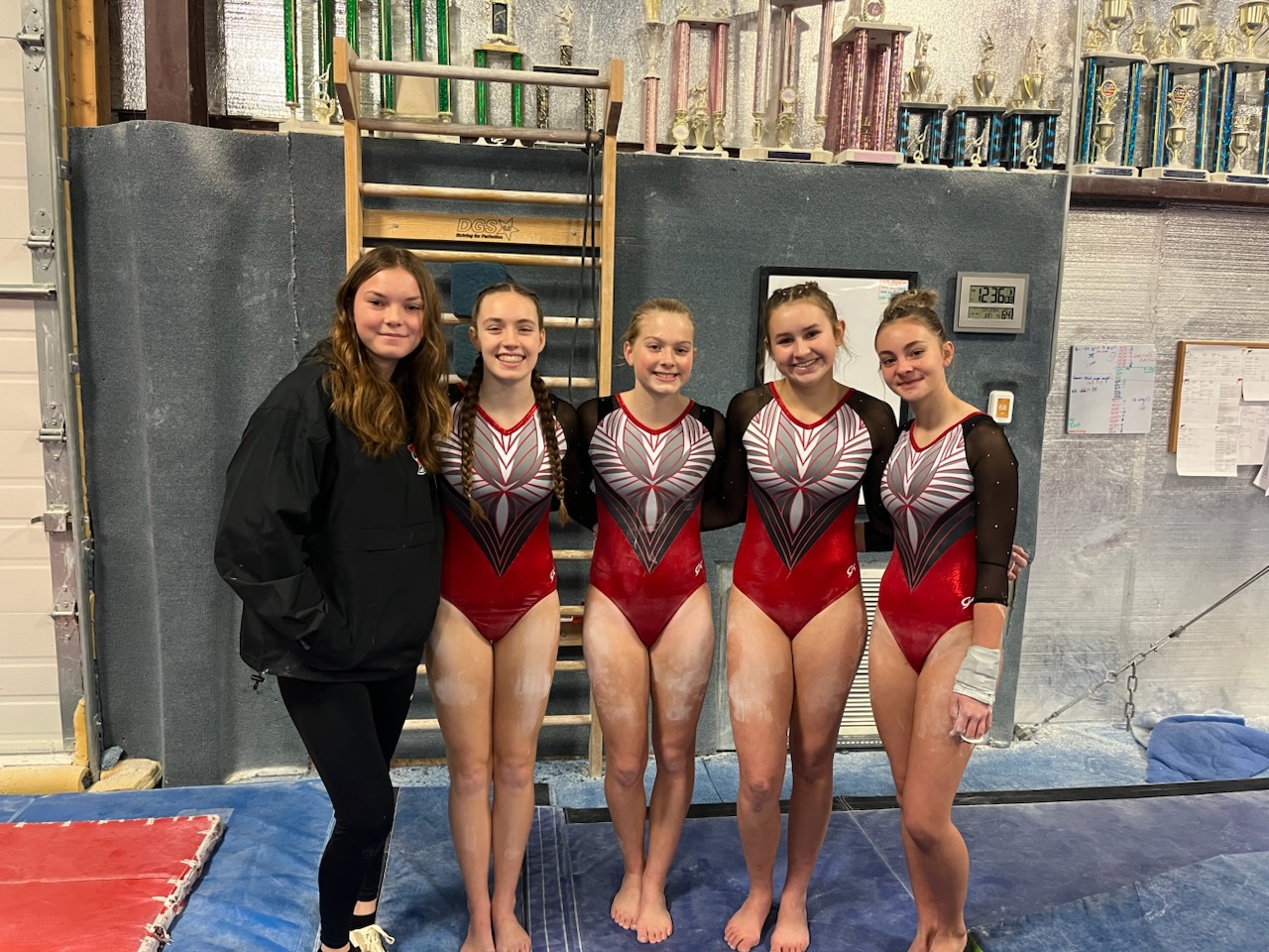 Varsity Gymnastics Team at the January 4th meet